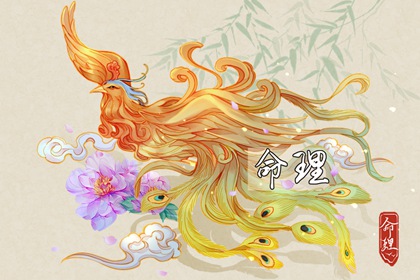 老皇历 择吉老皇历 择吉皇历